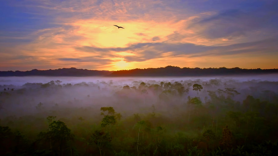 JOURNEYS TO THE EXTRAORDINARY